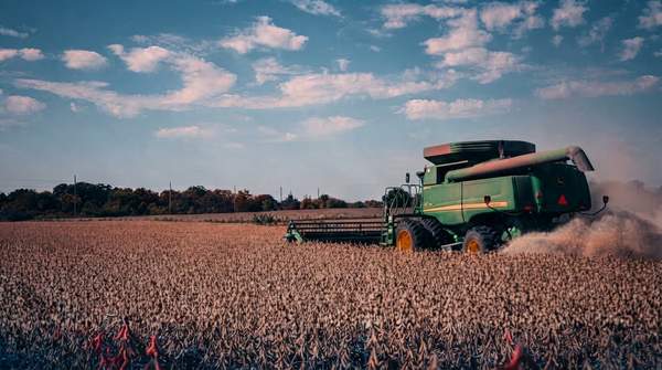 Editorial illustration for China Reduces Tariffs on Broad US Farm Goods, Maintains Soybean Duties